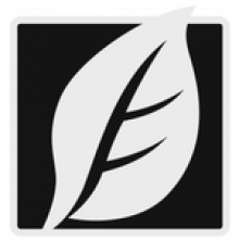 SkinFiner 5Chỉnh sửa chân dung sắc nét