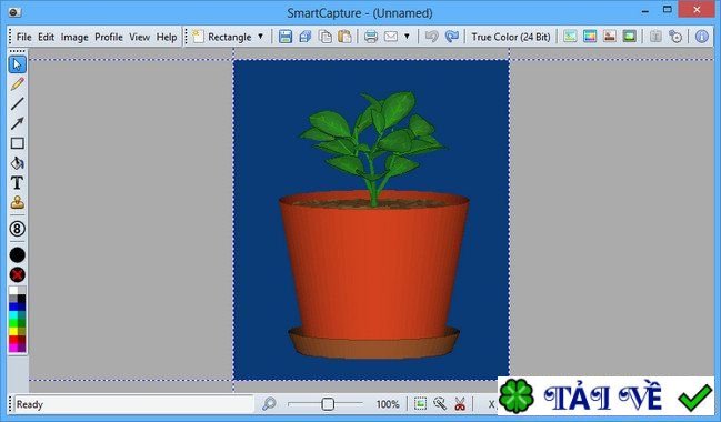 smartcapture-1 image