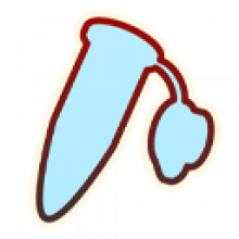 SnapGene 5 Thiết kế DNA