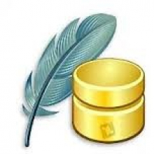 SQLite Maestro Professional 21.5 Quản lý & Tối ưu SQLite