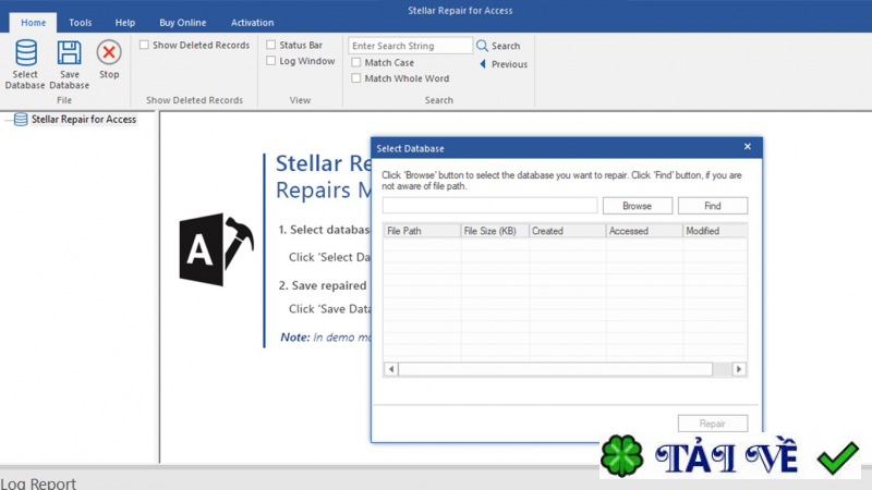 stellar-repair-for-access image