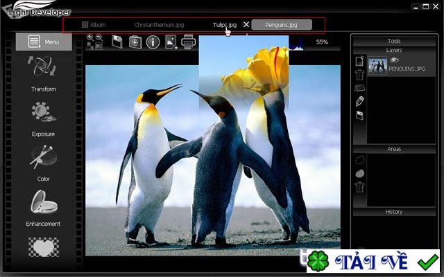 stepok-light-developer-1 image