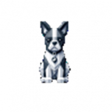 Terrier FixSectra 1.0 Tối ưu hóa tệp DICOM