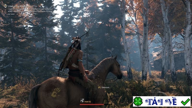 this land is my land 2