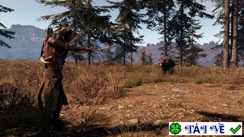 this land is my land 4