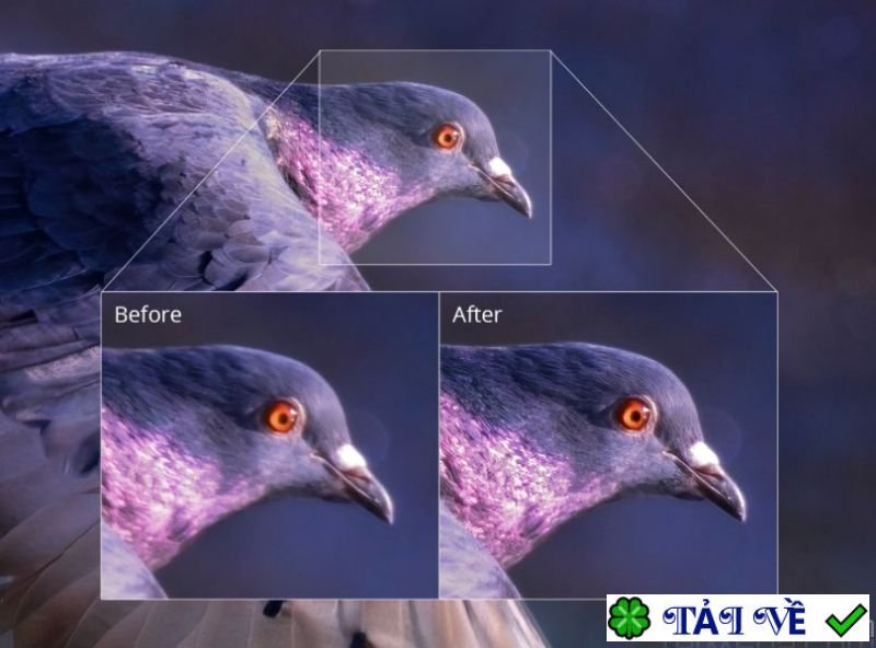 topaz-sharpen-ai-1 image