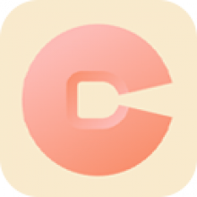 Vidpaw RipAnyDVD 1.0 Chuyển đổi đĩa DVD