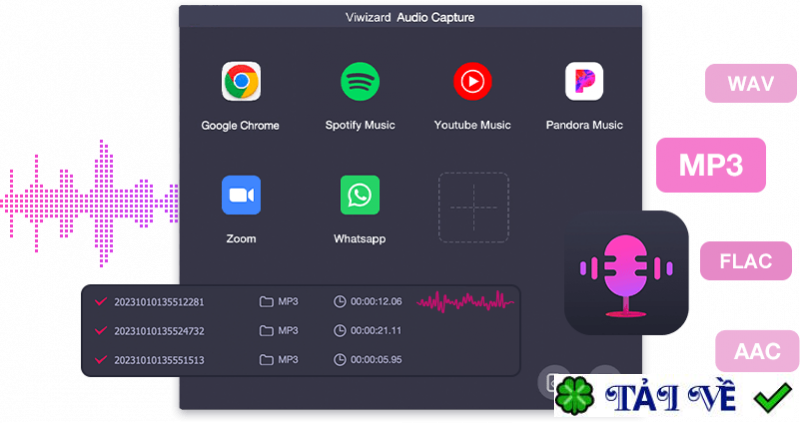 viwizard-audio-capture image