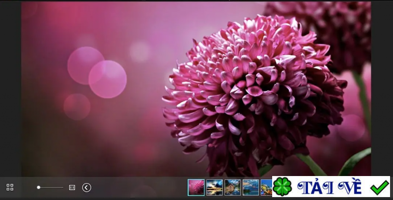 widsmob-viewer image