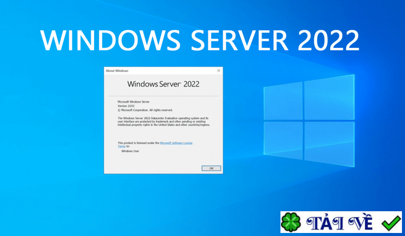 windows-server-2022 image
