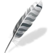 Wing IDE Pro 11 Công cụ phát triển Python chuyên nghiệp