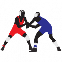 Wrestling Scoreboard Standard 3 - Theo dõi điểm đấu vật chuyên nghiệp