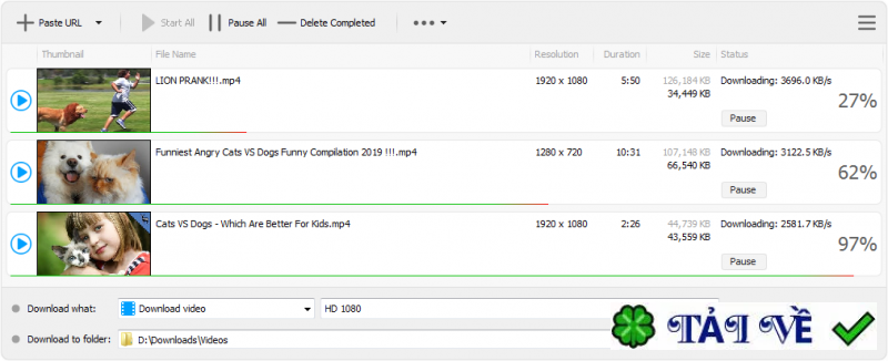 yt-geek-ytdl-pro image