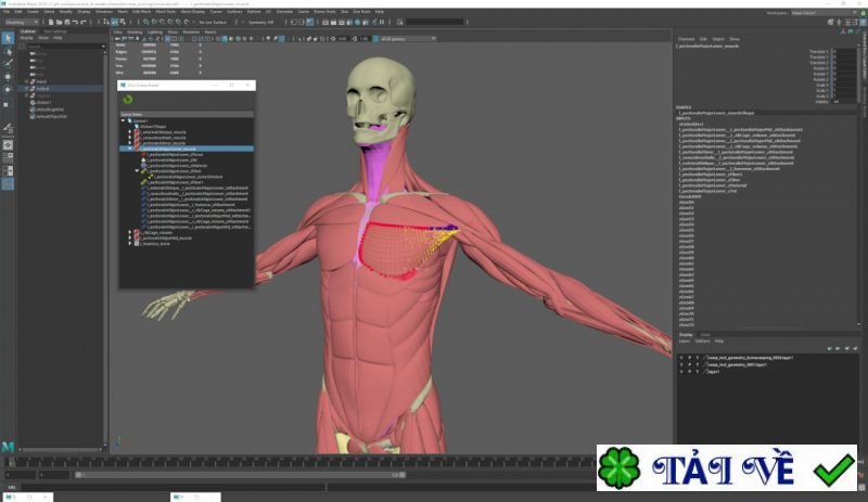 ziva-dynamics-ziva-vfx-1 image