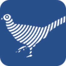 Altair newFASANT 6.3: Giải pháp phân tích 3D