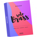 Audio Modeling SWAM Solo Brass 3 Nhạc cụ kèn đồng ảo