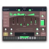 Audio Modeling SWAM Solo Woodwinds 3.10 – Nhạc cụ gió ảo chuyên nghiệp