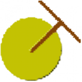 Digimizer 6: Phân tích ảnh, đo đạc chi tiết