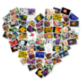 FigrCollage 3.3 Biên tập ảnh ghép chuyên nghiệp