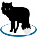 Metafox 2.6 Xử lý video chuyên nghiệp