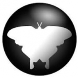 Qmmp 2 Trình phát nhạc đa nền tảng